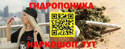 ECSTASY Кингисепп