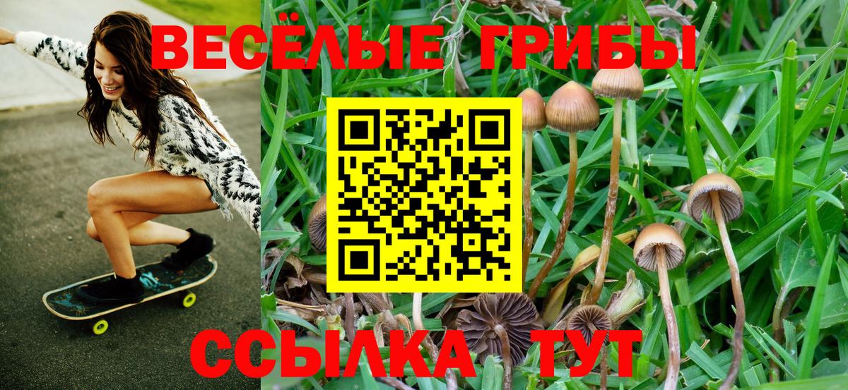 Псилоцибиновые грибы прущие грибы  Вход с VPN  цена   Коряжма 